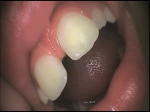 Yasmine q2dv0k - Eugenol