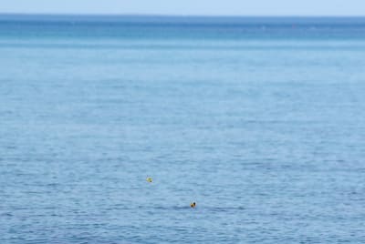 0009 6 2 fharyh - Eugenol