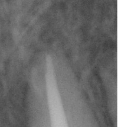 012 w08r0k - Eugenol