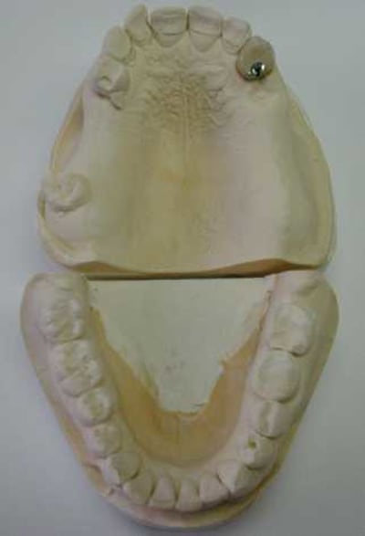 01 2161 fqgf0r - Eugenol