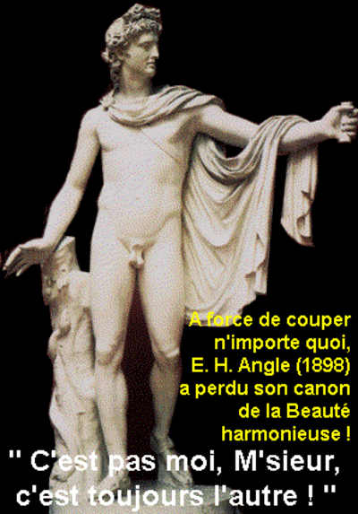 050710 1898a2005 opiolu - Eugenol