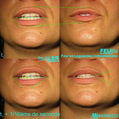 050712 test indices ykf50f - Eugenol