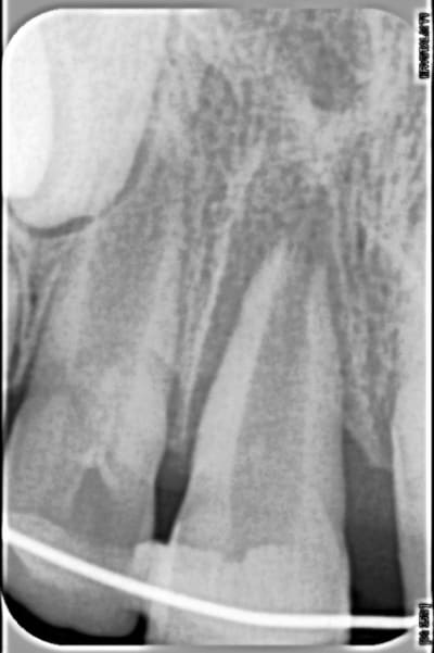 08462 i001pr b6vajq - Eugenol