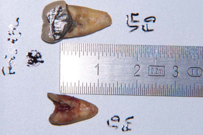 100 0453 vg6nkw - Eugenol