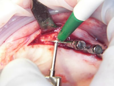 100 4543 ftaefa - Eugenol