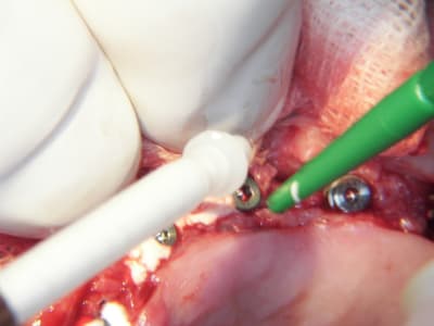 100 5402 xonsxj - Eugenol