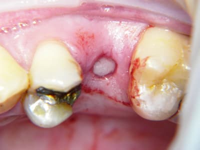 100 6434 vujjf3 - Eugenol