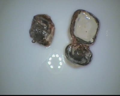11 bra9wy - Eugenol