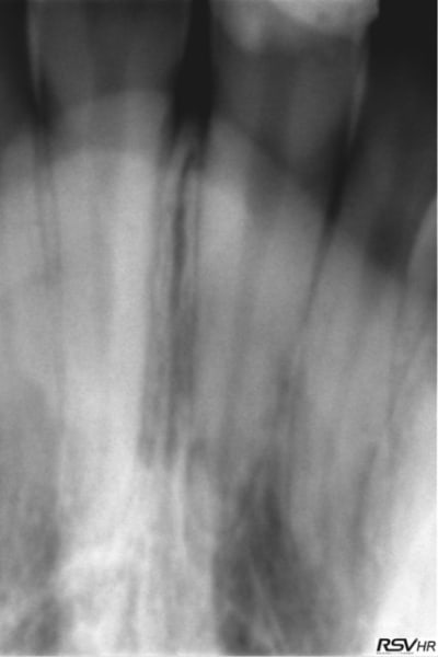 11 fract  k28sfy - Eugenol