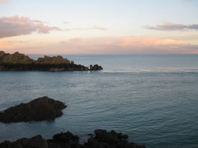 1272 001 z3vyjc - Eugenol