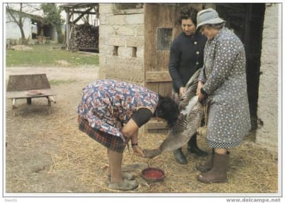 130 001 ol7jg4 - Eugenol