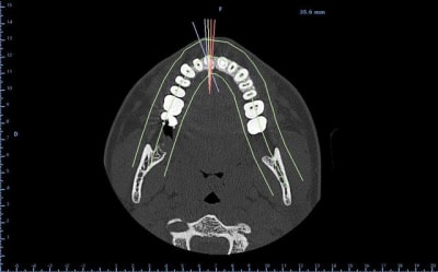 1axial t5gveb - Eugenol