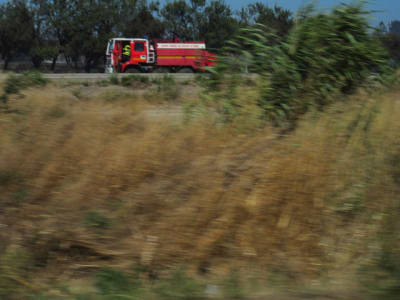 201007118 007 bxk9dj - Eugenol