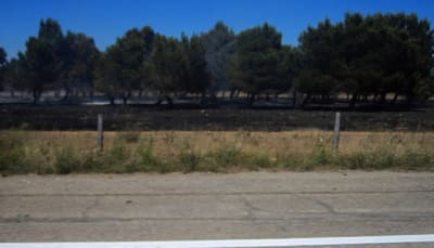 201007118 009 qttxwd - Eugenol