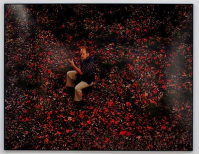 20100717 arles 041 ef6ua3 - Eugenol