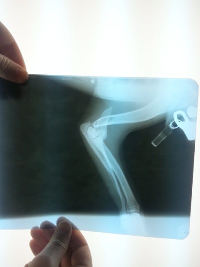 2012 10 06 23.13 - Eugenol