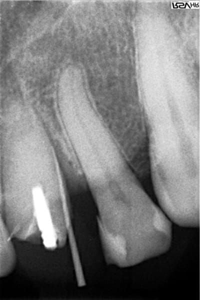 21 02 zsd2xv - Eugenol