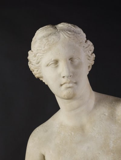 3 ma399 venus de milo portrait achauvet cxl3cq - Eugenol
