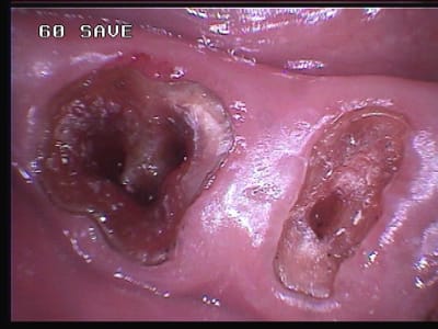 359 in6o21 - Eugenol