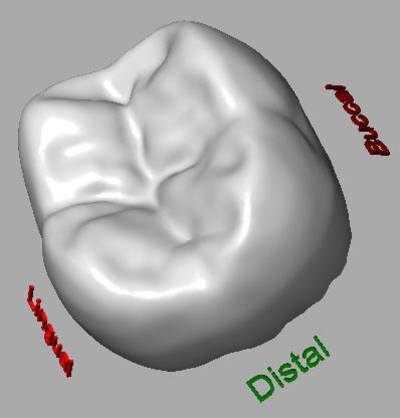 3d mbktkn - Eugenol