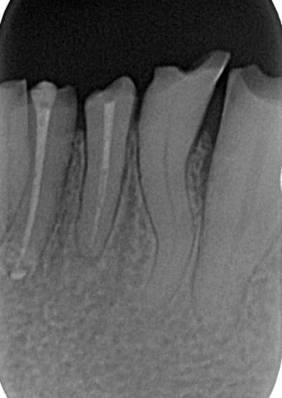 407 x 0000022b 3 onqwhb - Eugenol