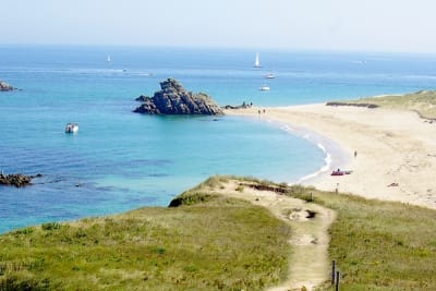 7509 6 oekoyr - Eugenol