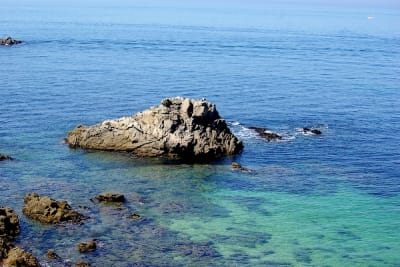 7647 6 jh5kv8 - Eugenol