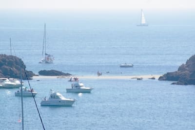 8077 6 pydw7j - Eugenol