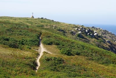 8129 6 rl7dhf - Eugenol