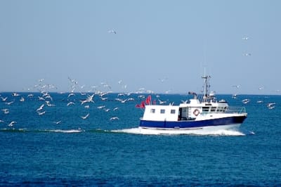 8142ttt ejqsiu - Eugenol