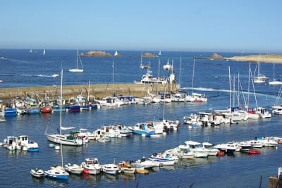 8153 6 psc3l0 - Eugenol