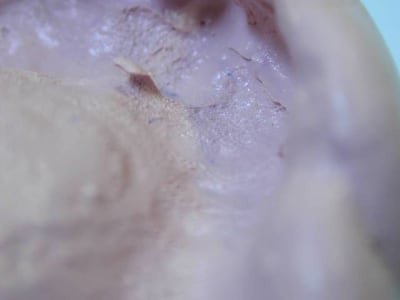 852 hggbit - Eugenol