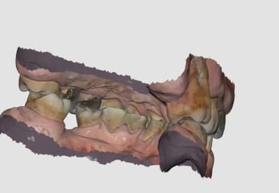 8b58e548 ce80 4686 9a0e b796ddbacee0 oxgzut - Eugenol