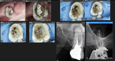 9l18b3ookss02qcs9ahcawjr7jlm - Eugenol