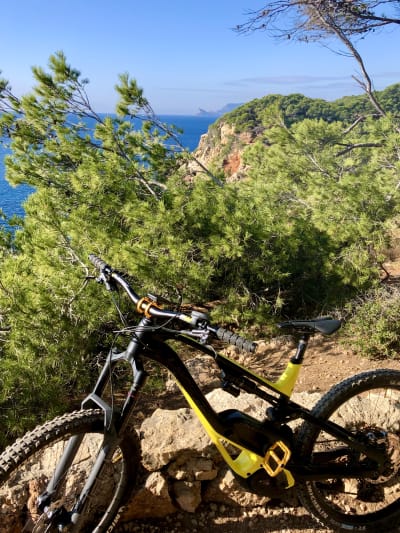 A8b1a673 7b82 4b55 bbea 84145d3b7c23 dnrpqo - Eugenol