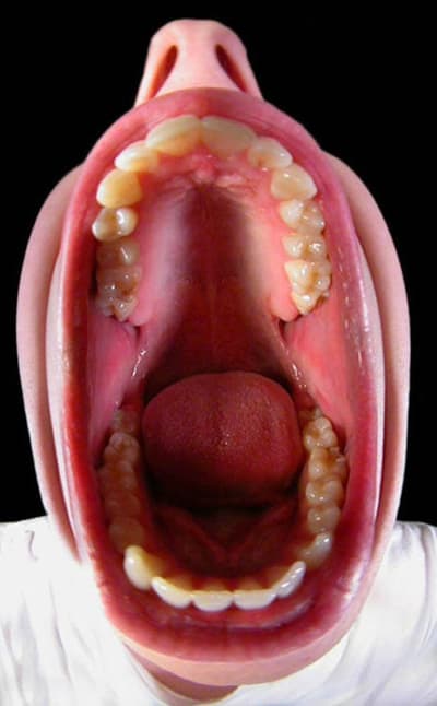 B4 eravd5 - Eugenol