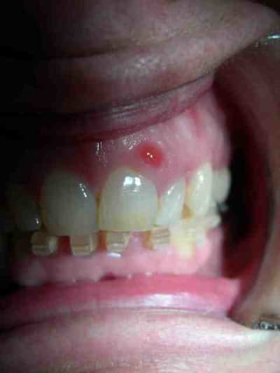 Cc001 s1dfmx - Eugenol