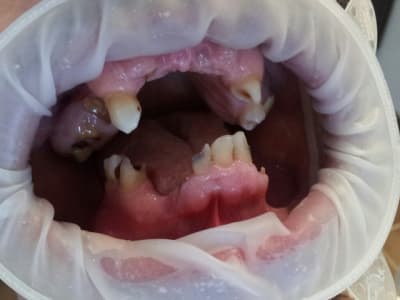 Cymera 20140211 145244 df6ida - Eugenol