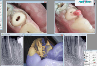Capture d écran 2017 05 23 21.14 - Eugenol