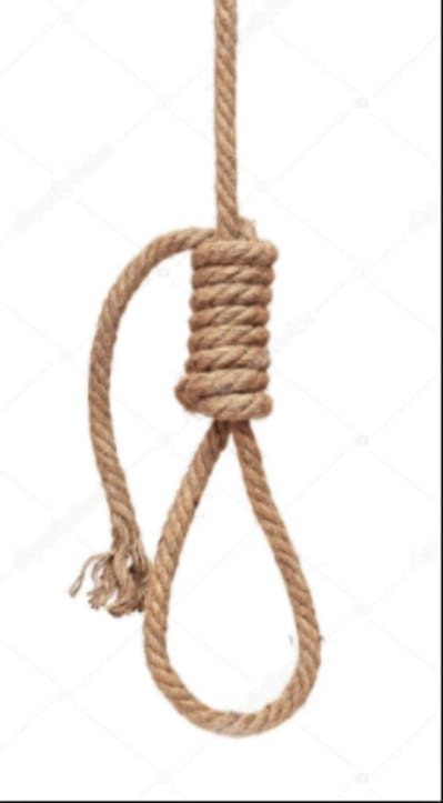 Capture d écran 2017 06 30 13.31 - Eugenol