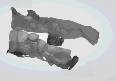 Capture d écran 2018 03 20 12.52 - Eugenol