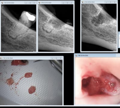 Capture d e cran 2016 04 19 14.47 - Eugenol