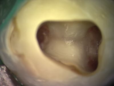 Dsc00069 pgva84 - Eugenol