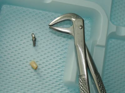 Dsc05190 vkbpvf - Eugenol