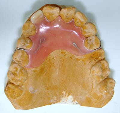 Dsc06097 meag8d - Eugenol