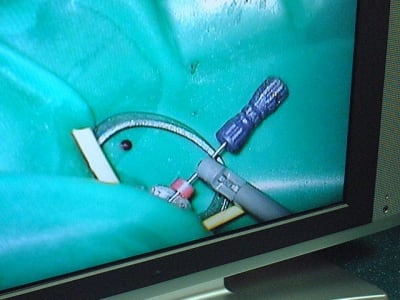 Dscf0089 ebtak3 - Eugenol