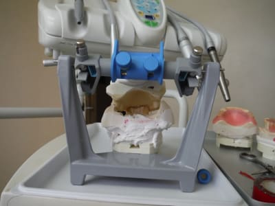 Dscf0443 cqvqgk - Eugenol