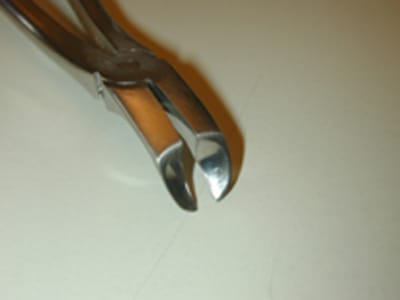 Dscn0002 eczppg - Eugenol