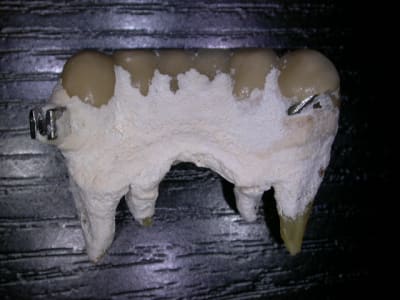 Dscn6964 pxz0f8 - Eugenol