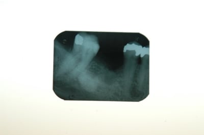 Dsc 0047 aubpj8 - Eugenol